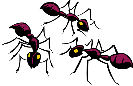 Schwarmintelligenz -Was wir Logistiker von Ameisen lernen können